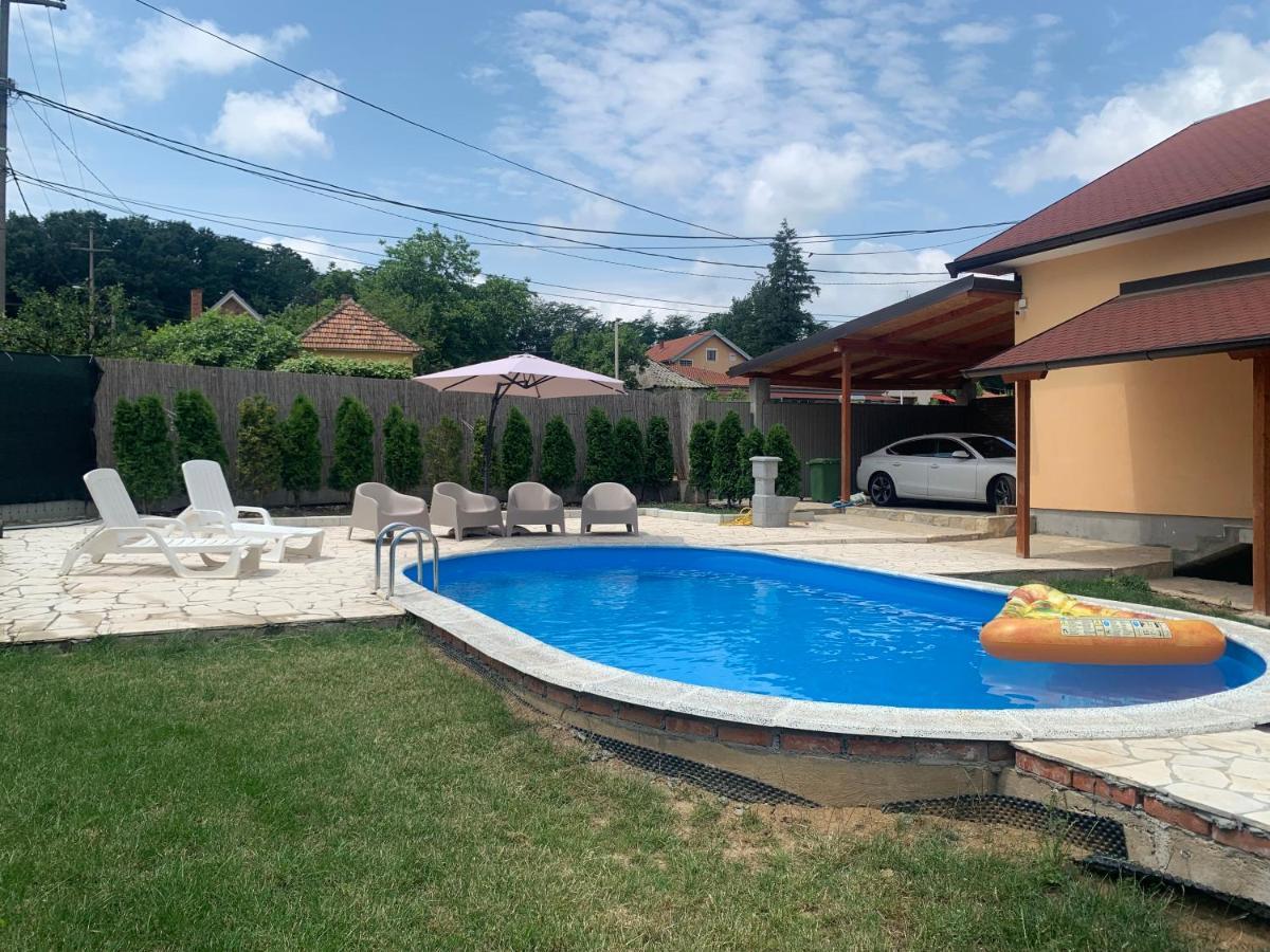 베오그라드 Mika'S Poolhouse 빌라 외부 사진